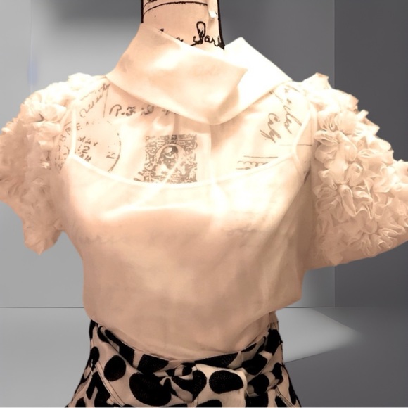 St. John Tops - SOLD SOLD SOLD $595 NWT St. John Couture Raw Silk Semi Sheer Top